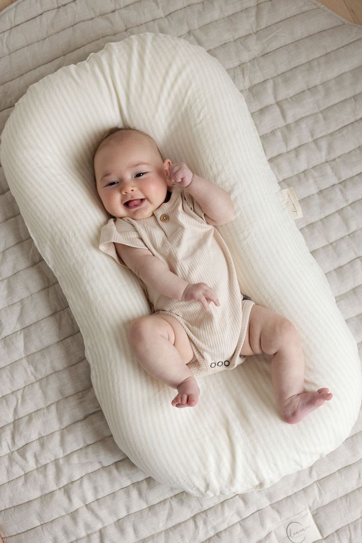Baby Loungers & Nest Pillows